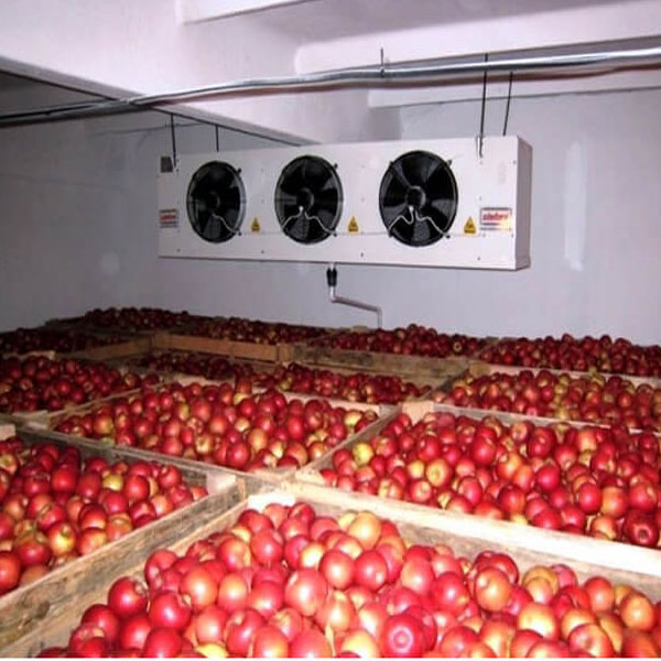 نگهداری بلند مدت