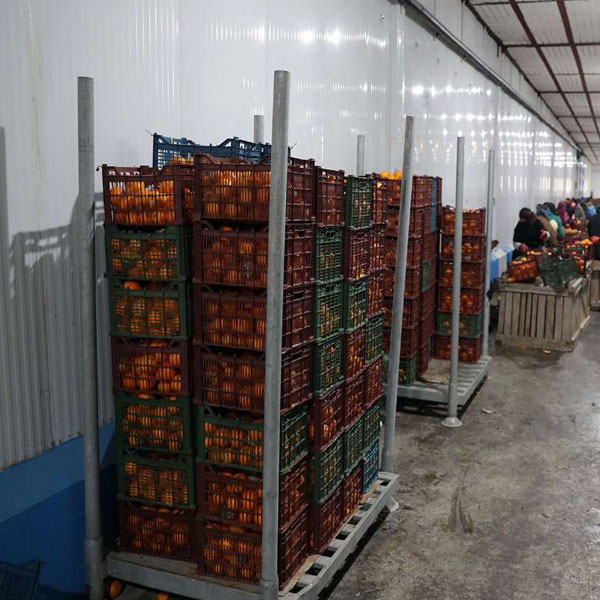 نگهداری کوتاه مدت